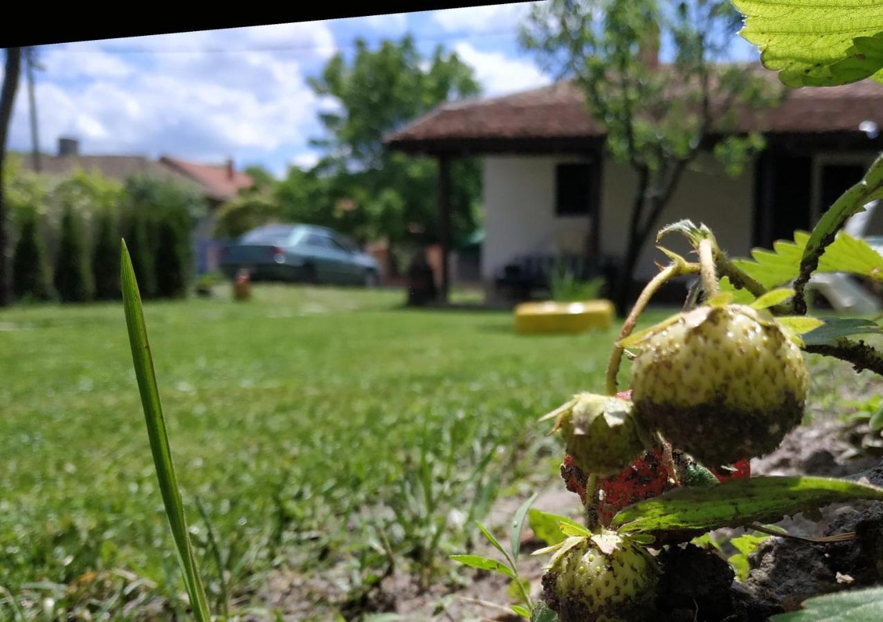 Willa Stara Kovacnica Golubac Zewnętrze zdjęcie
